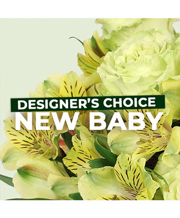 New Baby Flowers Designer's Choice in Garfield, NJ | CRYSTAL FLORIST AND GREENHOUSES, INC.