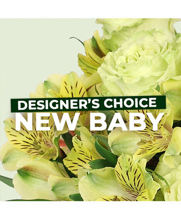 New Baby Flowers Designer's Choice in Blaine, MN | ADDIE LANE FLORAL & GIFTS