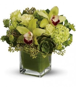 New Baby Flowers mix in cube