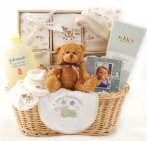 Welcome Baby Gift Basket