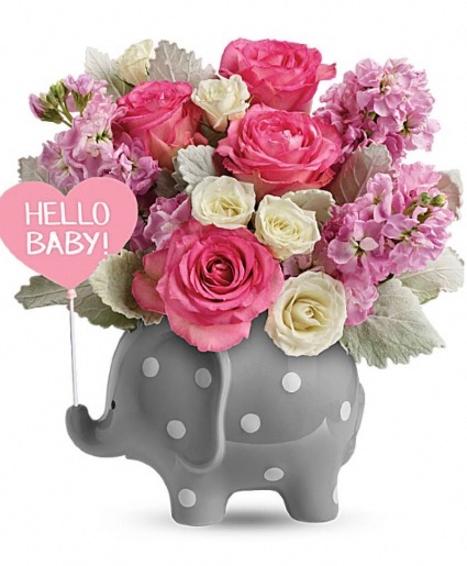 New Baby Girl Elephant