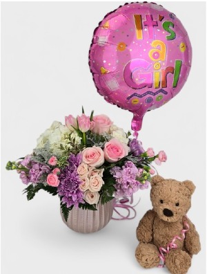 New baby girl package 