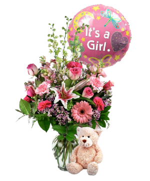 NEW BABY GIRL PACKAGE 