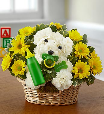 New Baby Puppy Dog In Clarksville Tn Flowers By Tara And Jewelry World New Baby Puppy Dog In Clarksville Tn