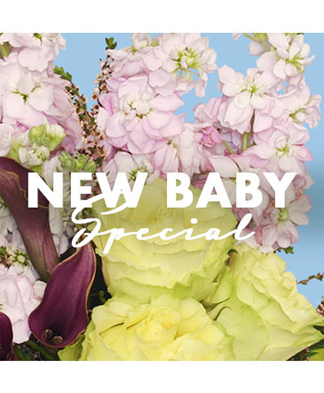 New Baby Special Designer's Choice in Gladewater, TX | Gladewater Flowers & More