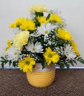 New Bundle of Joy  FHF-B12 Fresh Flower Arrangement (Local Delivery Area Only)