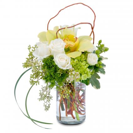 New Promise Arrangement