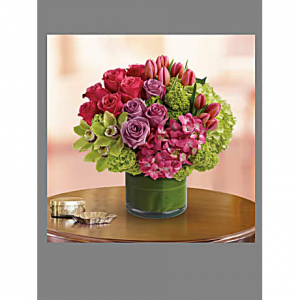 New Sensations All Occasions in Las Vegas, NV | All In Bloom New Sensations All Occasions in Las Vegas, NV | All In Bloom