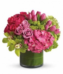 New Sensations Arrangement