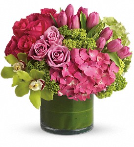 New Sensations Bouquet in Coral Springs, FL | DARBY'S FLORIST