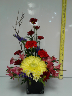 Category Image