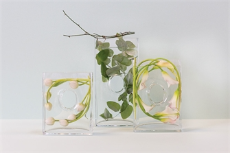 Niche Glass Vases