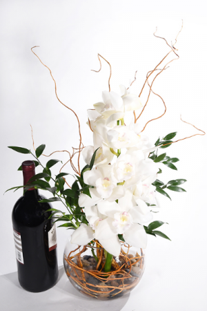 Night of romance white cymbidium orchid with wine