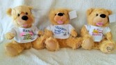Noah Prayer Bears Gift Item
