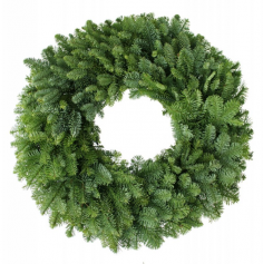 Category Image