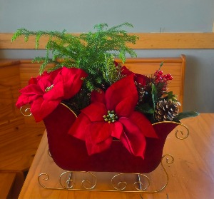 Norfolk Pine with Silks Plant 