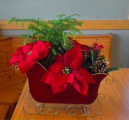 Norfolk Pine with Silks Plant 