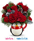 North Pole Penguin DX Christmas