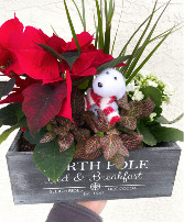 North Pole Christmas Planter