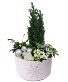North Pole Snowflake Planter  planter