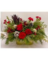 Northern Golden Pines Container Front facing