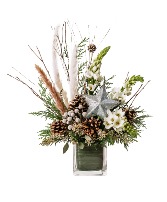 Northern Star All Around Arrangement