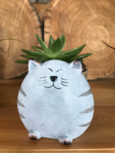 NOVELTY CONTAINER S AND PLANTS Cat Plant