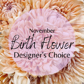 November Birth Flower Designer's Choice Designer's Choice