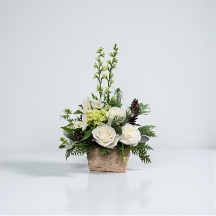 November Frost SCF Original - Designed By Kelly