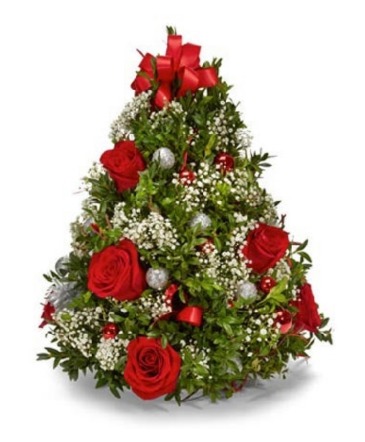 O' Christmas Tree Boxwood Shaped Christmas tree in Stratford, CT | Dawn's Secret Garden