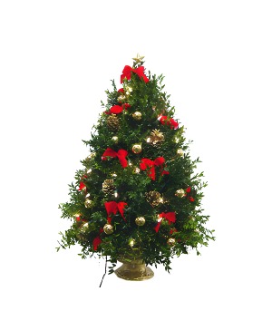 O' Christmas Tree Christmas