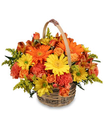 Harvest colorful basket Fall Baskrt