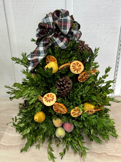 O Tannenbaum Cut Boxwood Tree