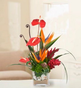 Ocean Bliss Flower Arrangement in Burbank, CA | MY BELLA FLOWER Ocean Bliss Flower Arrangement in Burbank, CA | MY BELLA FLOWER