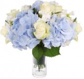 OCEAN BOUQUET