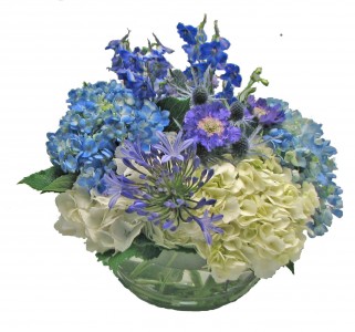 Ocean of Hydrangea Cut Flowers