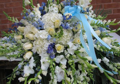 Category Image