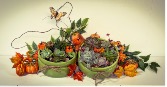 OCTOBER 22, 2025 @ 6:30PM Succulent Garden WORKSHOP