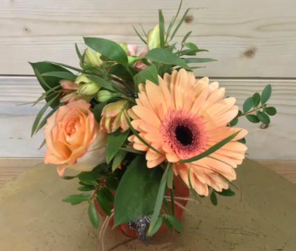 October Arrangement of the month!