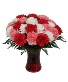 Ode to Love Carnations