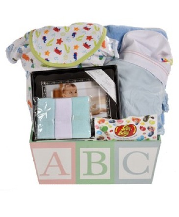Oh Boy Gift Basket in Port Dover, ON | Upsy Daisy Floral Studio