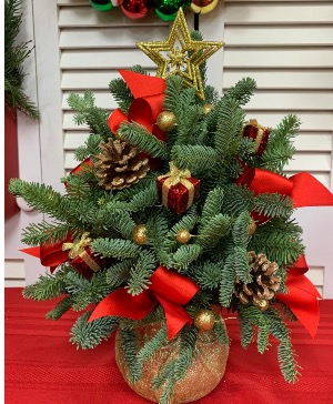 OH  Christmas Tree Centerpiece 