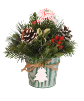Oh Christmas Tree LIMITED QUANTITIES! ORDER YOURS TODAY! AVAILABLE BEGINNING DEC 17TH