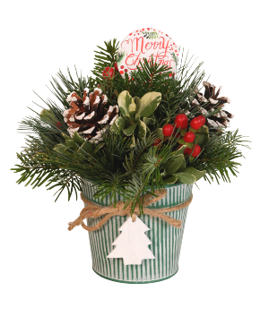 Oh Christmas Tree LIMITED QUANTITIES! ORDER YOURS TODAY! AVAILABLE BEGINNING DEC 17TH