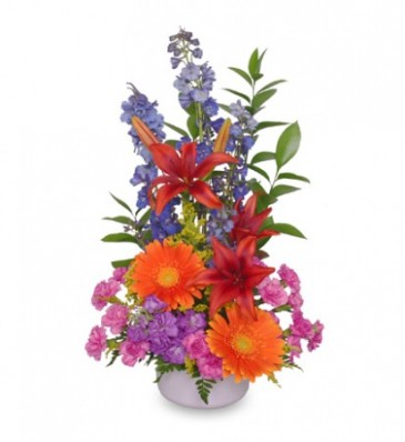 Oh Happy Day! Bouquet in Ocala, FL | Blue Creek Florist