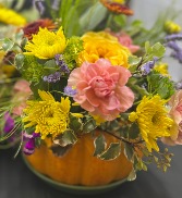 Autumn Bloom Pumpkin Seasonal Special