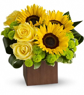 Oh Sunny Day Cube arrangement container may vary