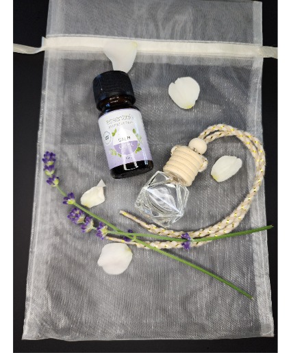 Oil Diffuser with Essential Oil gift Products