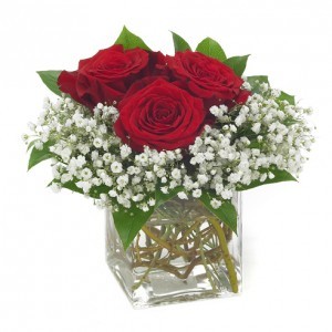 So Cute 3 Red Roses In A Cube Vase With Baby S Breath In Oxford