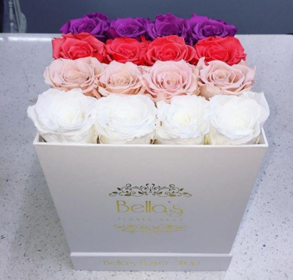 Ombre Box Roses that last a year